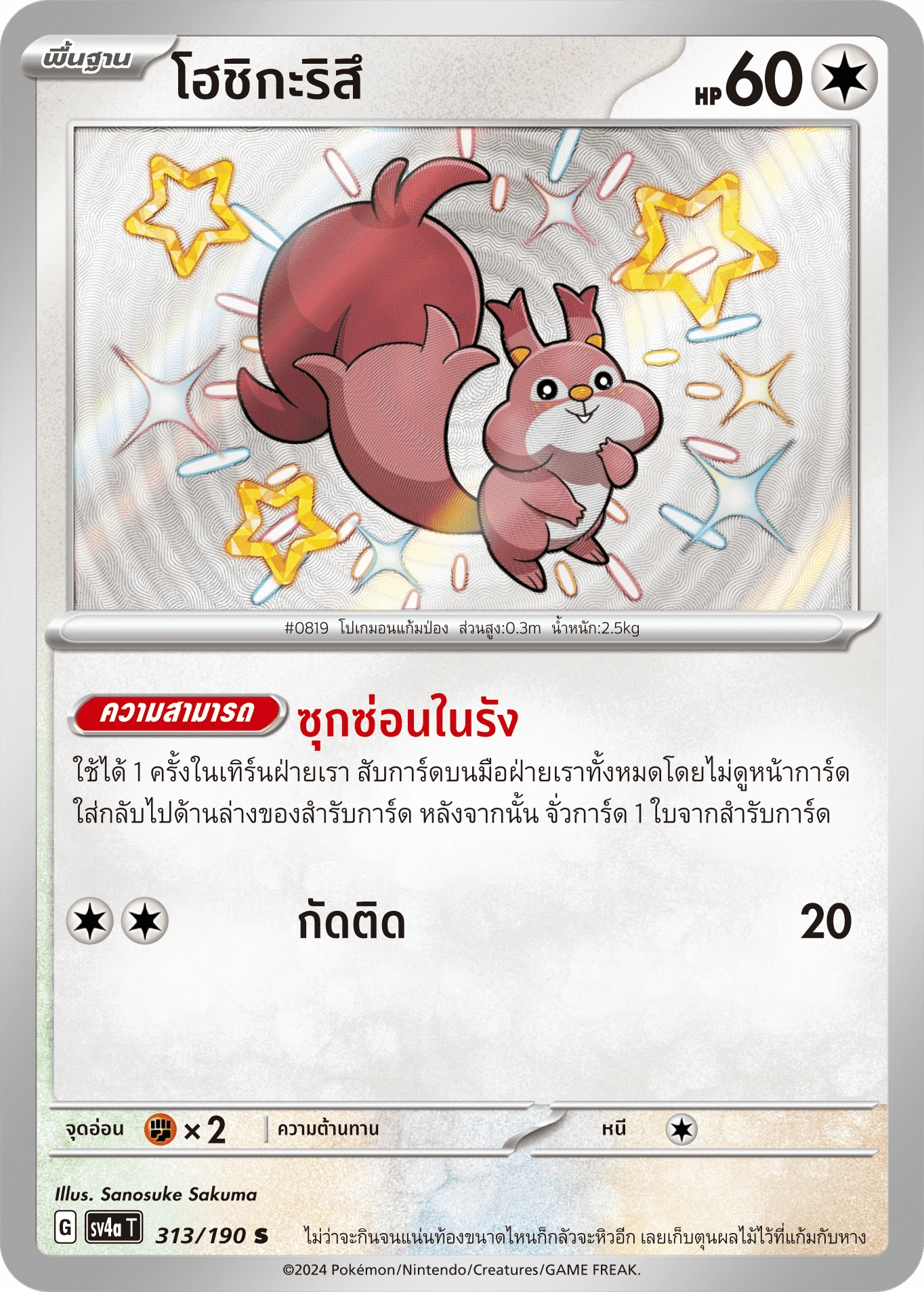 โฮชิกะริสึ 313