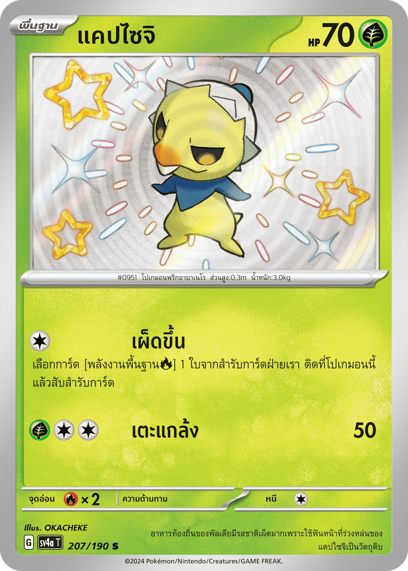 แคปไซจิ 207