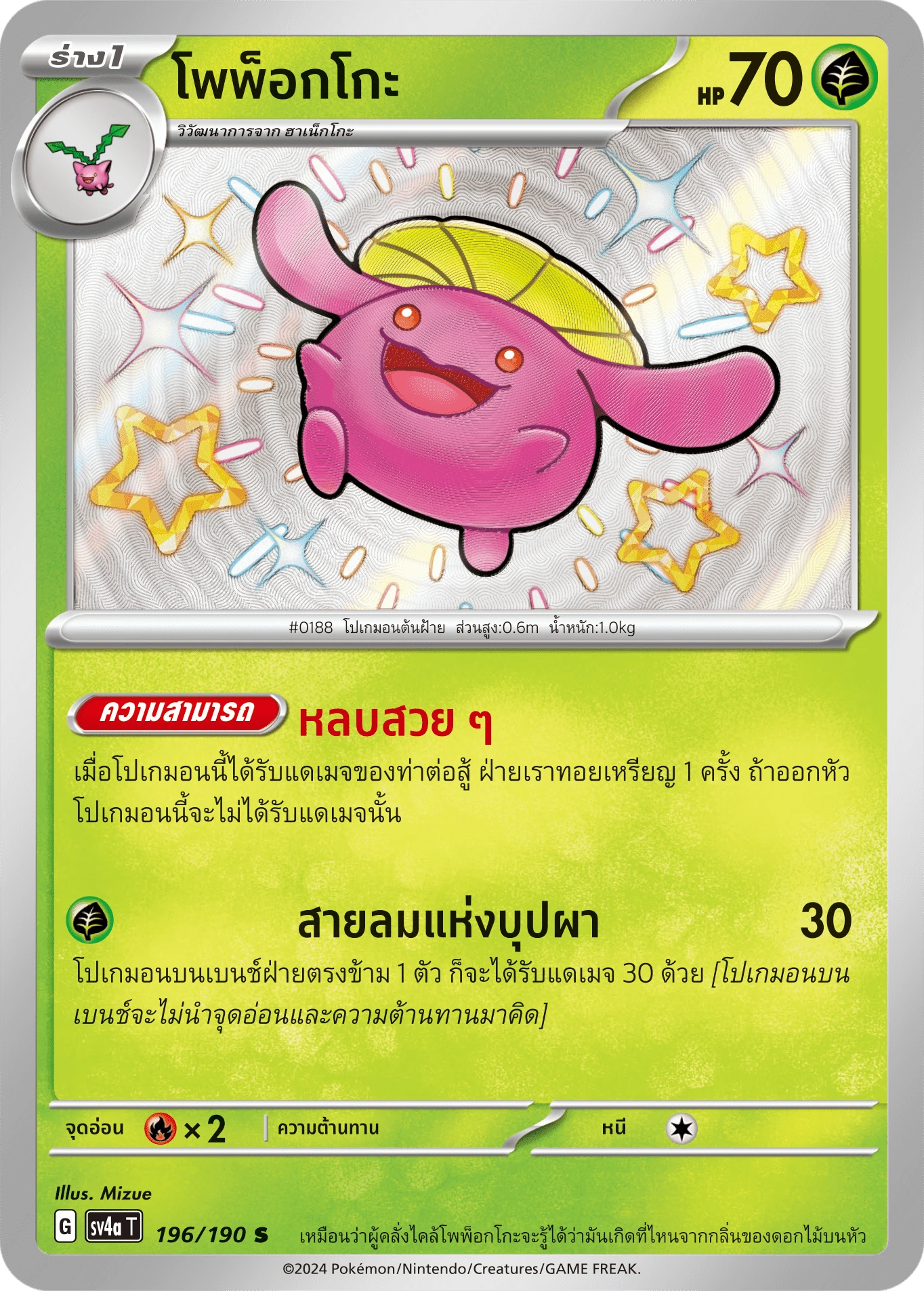 โพพ็อกโกะ 196