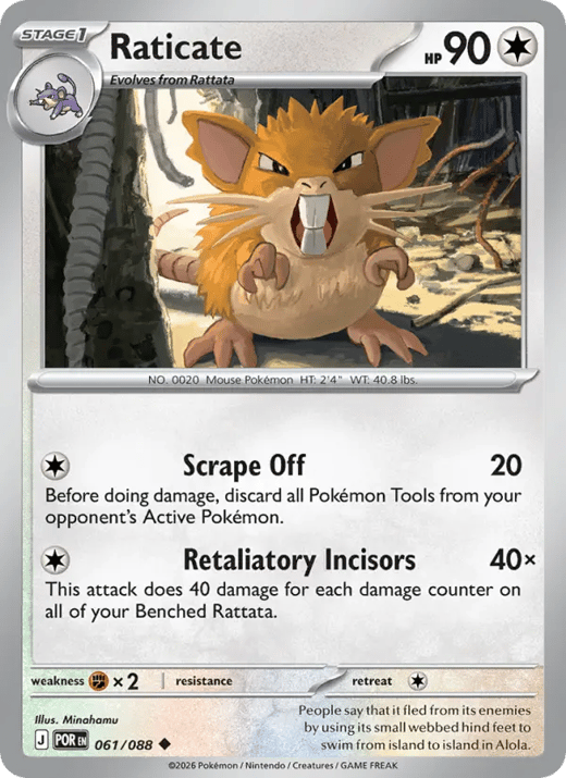 Raticate 061 — Perfect Order
