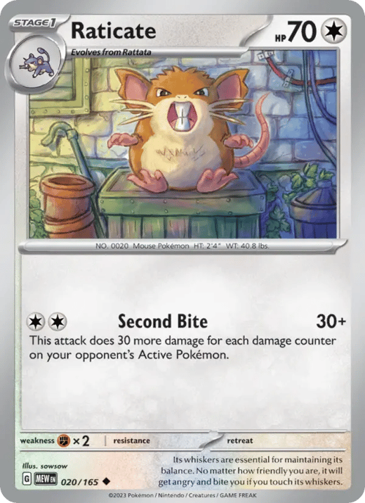Raticate 020 — 151